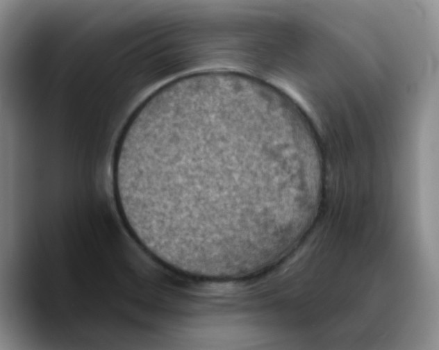 X0000089691468200707201710