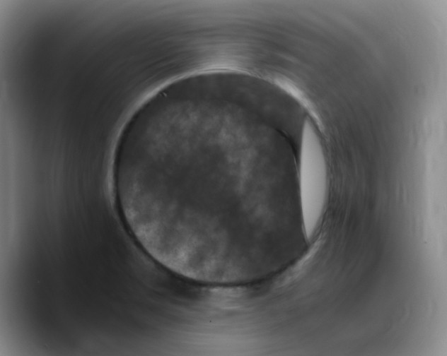 X0000089691469200707201710