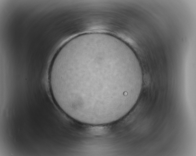 X0000089691470200707201710