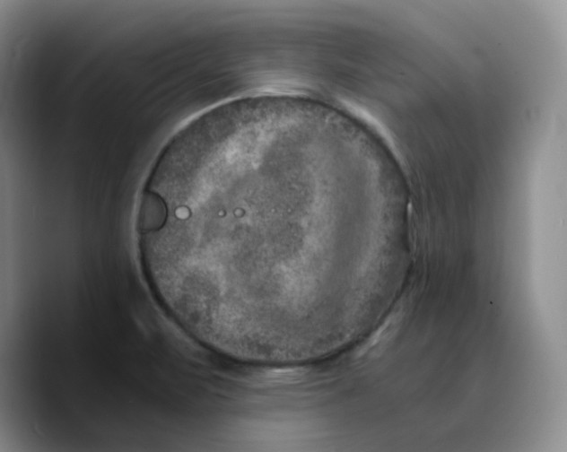 X0000089691471200707201710