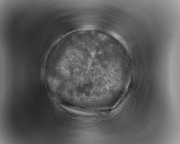 X0000089691473200707201710