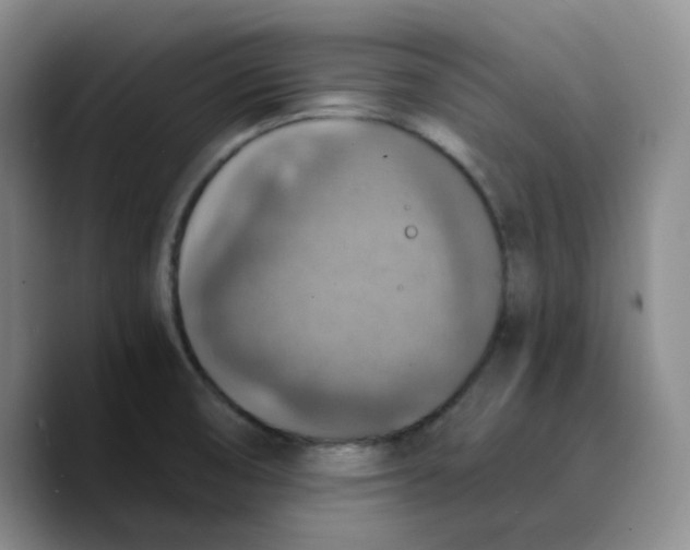 X0000089691474200707201710