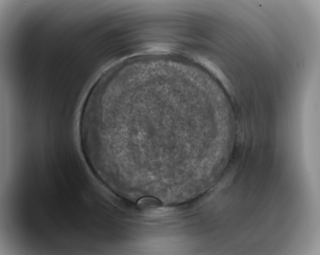 X0000089691475200707201710