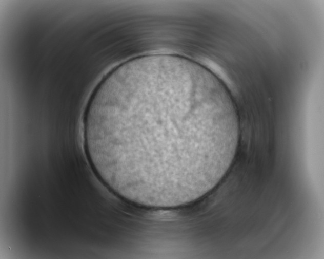 X0000089691476200707201710