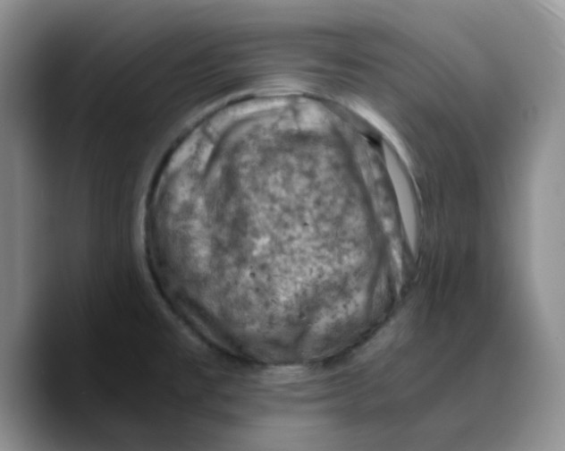 X0000089691477200707201710