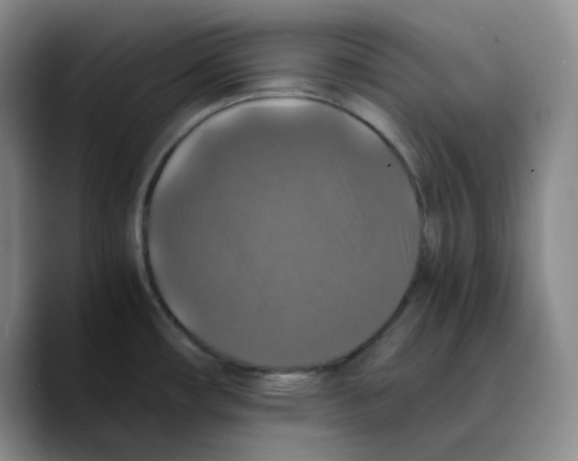 X0000089691482200707201710