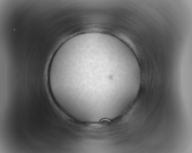 X0000089691483200707201710