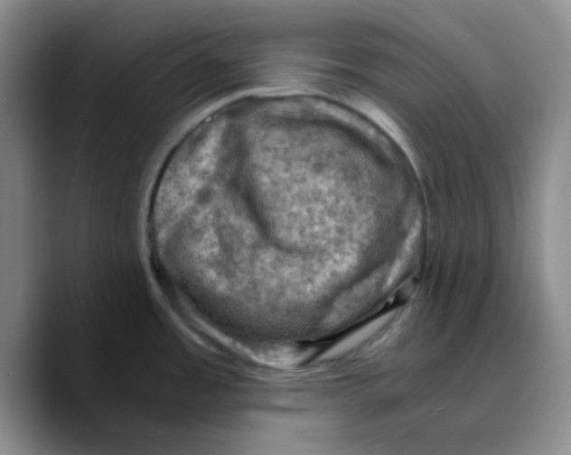 X0000089691485200707201710