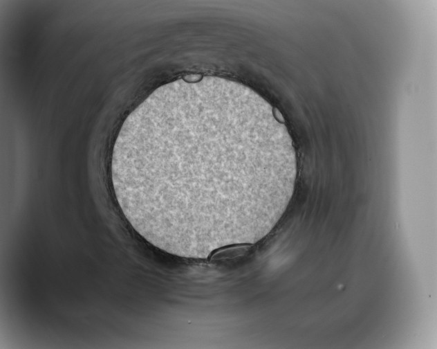 X0000089691489200707201709