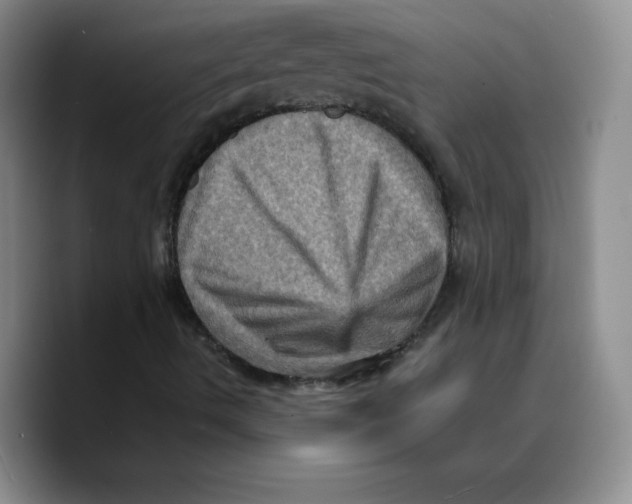 X0000089691490200707201709