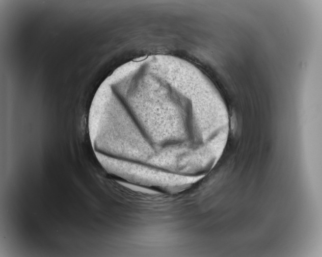 X0000089691492200707201709