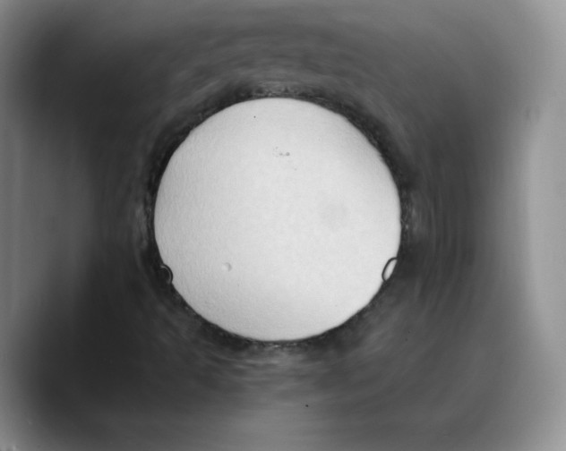 X0000089691493200707201709