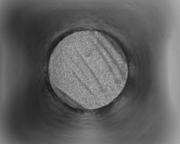 X0000089691494200707201709