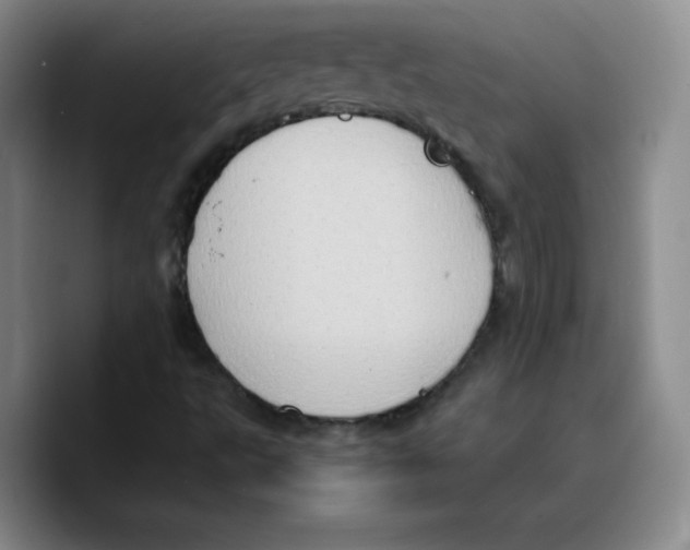 X0000089691495200707201709