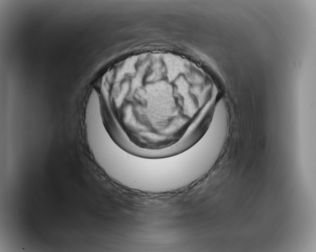 X0000089691496200707201709