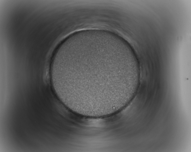 X0000089691498200707201709