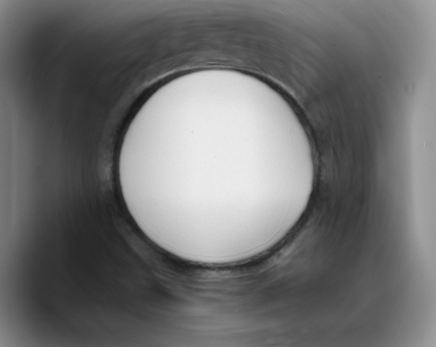 X0000089691499200707201709