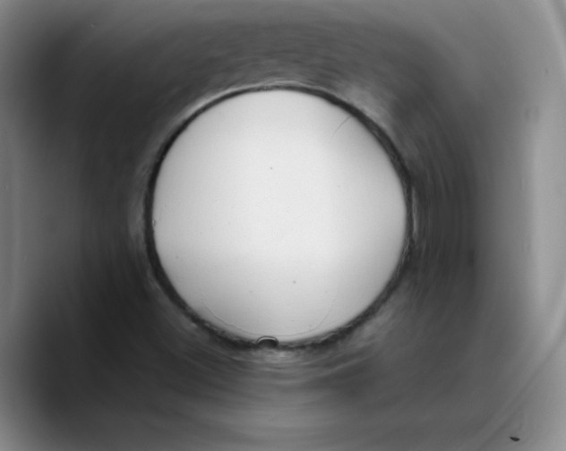 X0000089691500200707201709