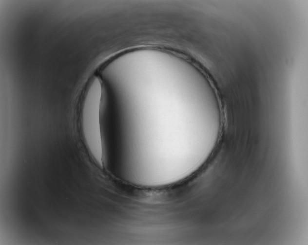 X0000089691501200707201709