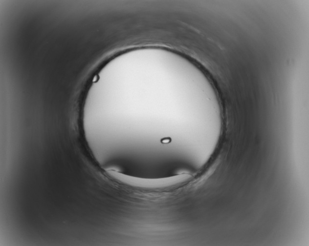 X0000089691502200707201709