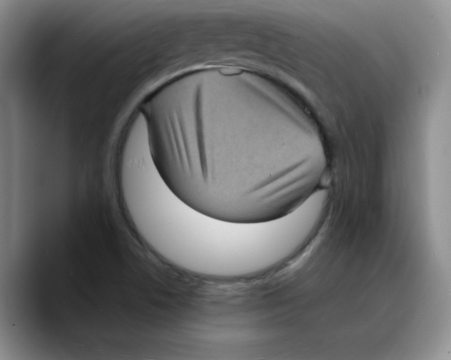 X0000089691506200707201709