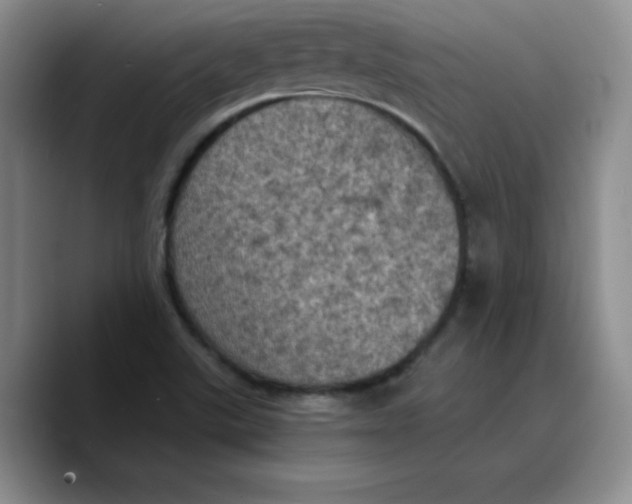 X0000089691507200707201709