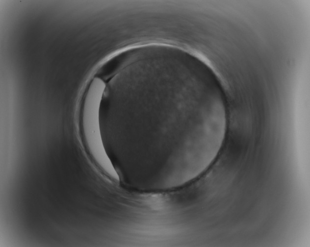 X0000089691508200707201709