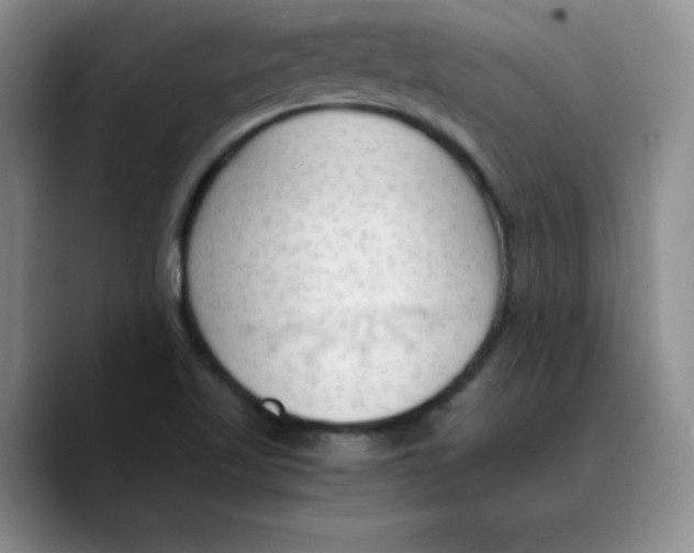 X0000089691509200707201709