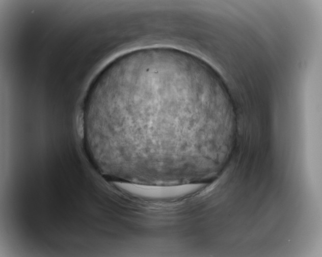 X0000089691510200707201709