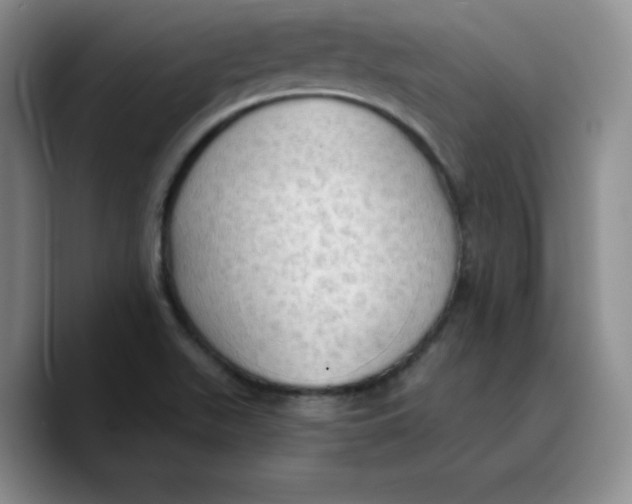 X0000089691511200707201709