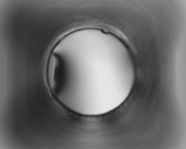 X0000089691512200707201709