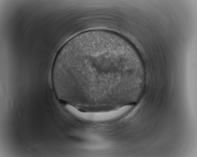 X0000089691513200707201710