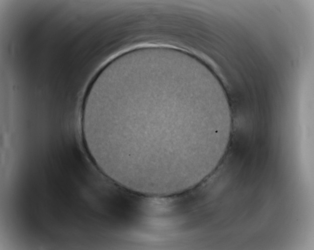 X0000089691514200707201710