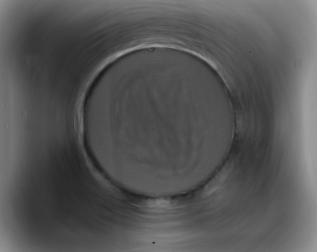 X0000089691515200707201710