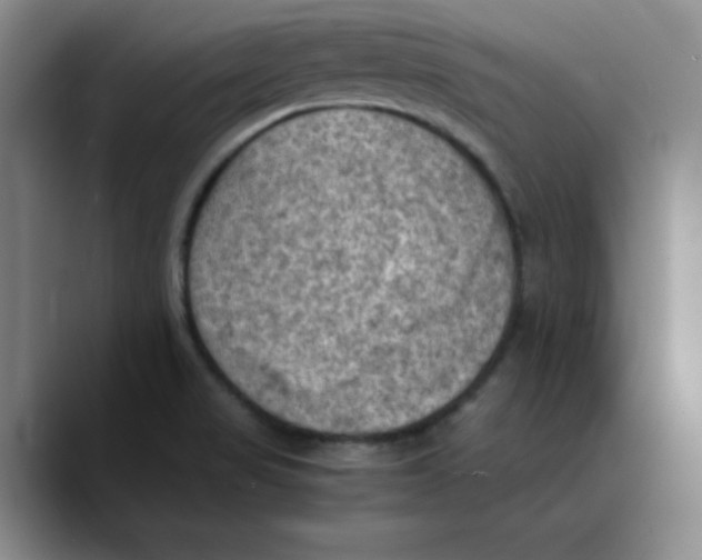 X0000089691517200707201710