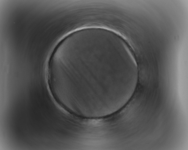 X0000089691519200707201710