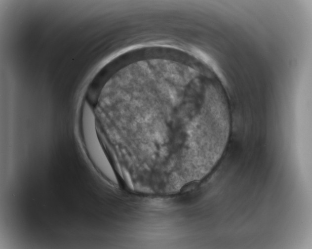 X0000089691520200707201710