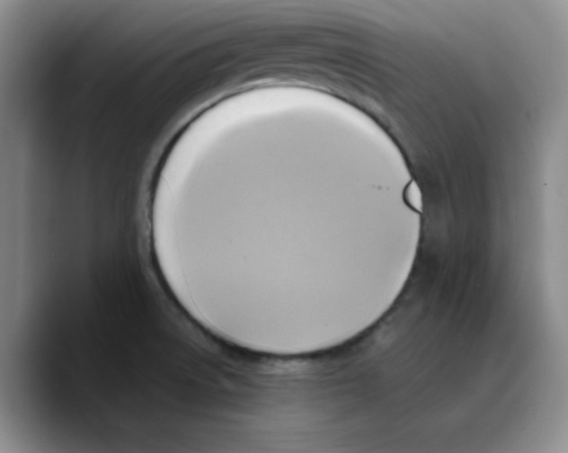 X0000089691522200707201710