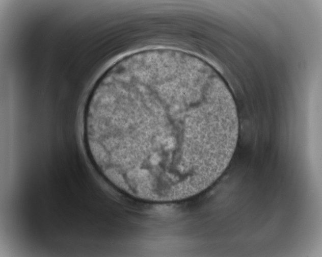 X0000089691523200707201710