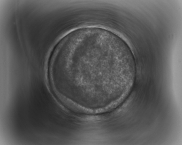 X0000089691525200707201710