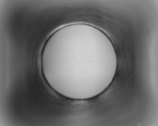 X0000089691526200707201710