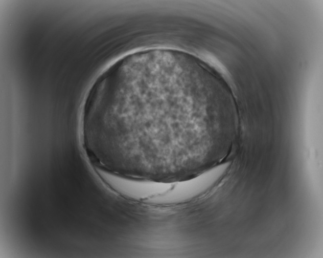 X0000089691528200707201710