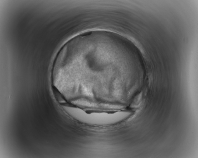 X0000089691530200707201710