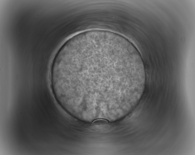 X0000089691531200707201710