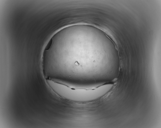 X0000089691532200707201710