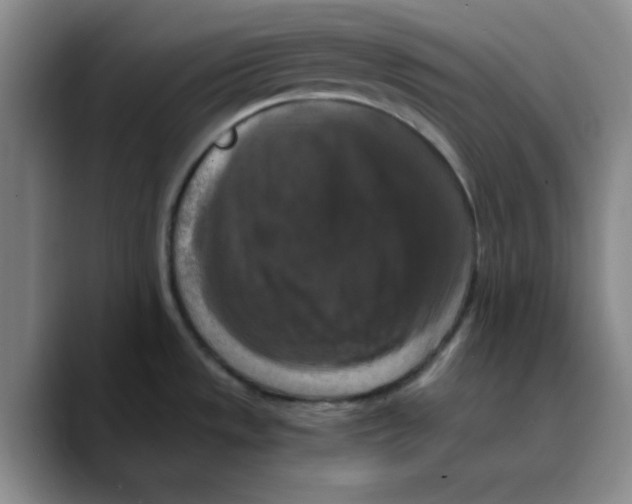 X0000089691533200707201710