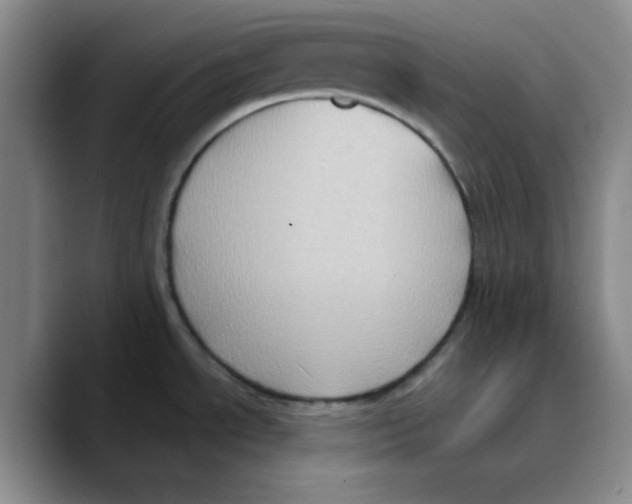 X0000089691534200707201710