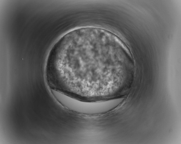 X0000089691536200707201710