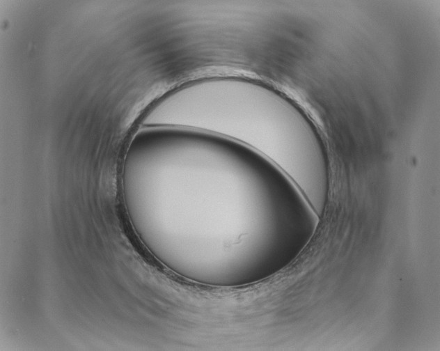 X0000089700015200706210902
