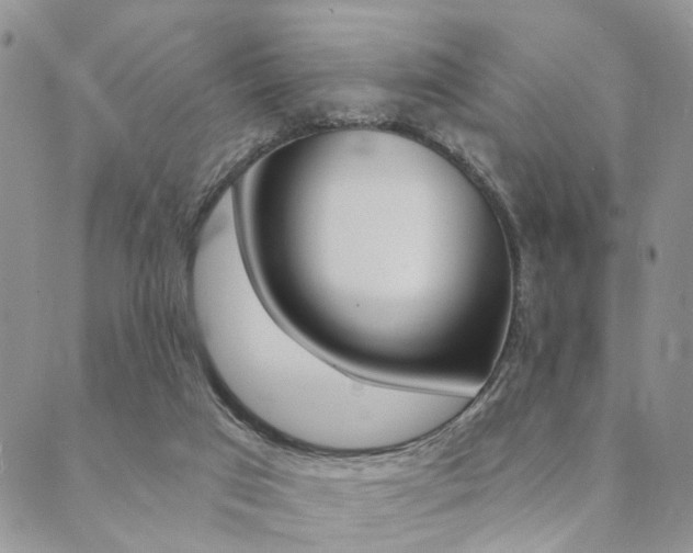 X0000089700017200706210902